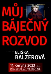 G. Aron: Můj báječný rozvod