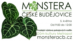 Monstera České Budějovice