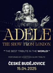 Adele Tribute show