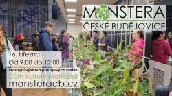 Monstera České Budějovice
