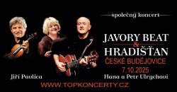 Jiří Pavlica, Hradišťan & Hana a Petr Ulrychovi, Javory Beat
