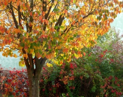 Galerie Nahoře - BOHUSLAVA MAŘÍKOVÁ: Krása okamžiku