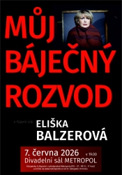 G. Aronová: Můj báječný rozvod 