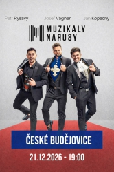MUZIKÁLY NARUBY - Josef Vágner & Petr Ryšavý & Jan Kopečný