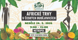 Africké trhy