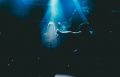 rose scandal show.jpg